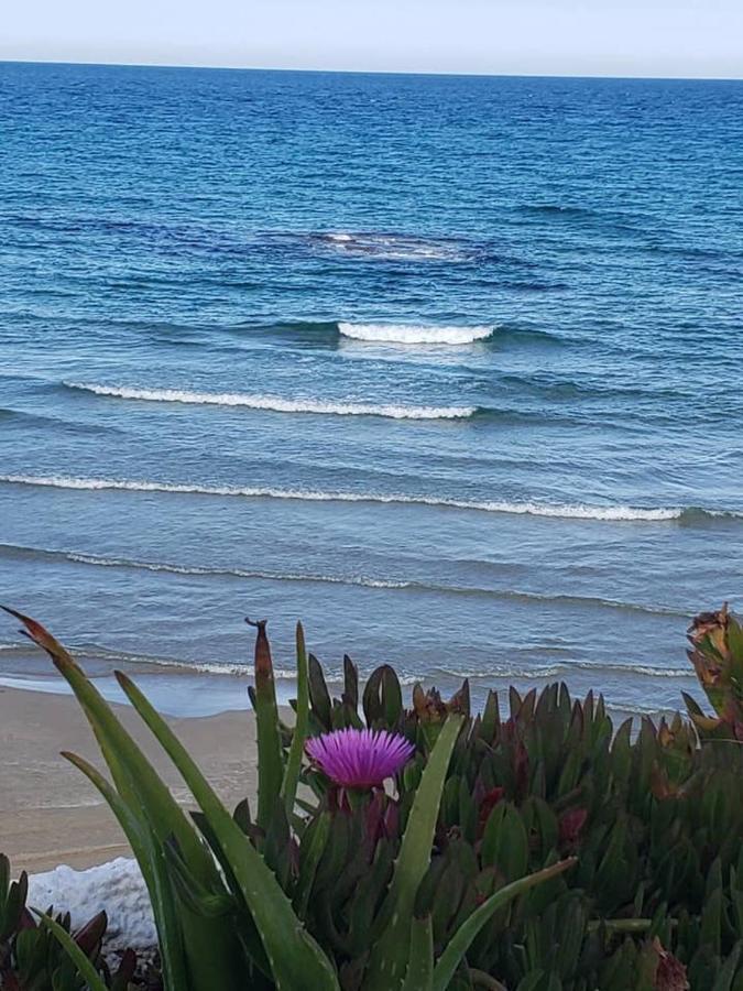 Playa Flamenca Splendid Apartment On The Beach Alicante Esterno foto